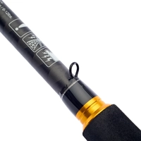 Daiwa Legalis Seabass Lure Rods